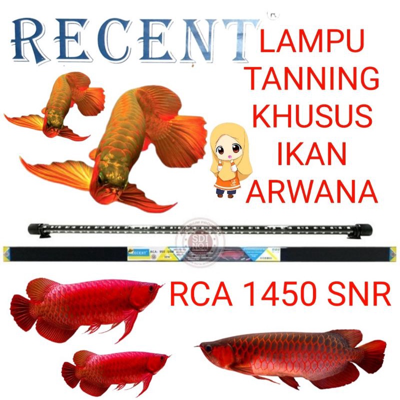 LAMPU TANNING AQUARIUM RECENT RCA 1450 SNR