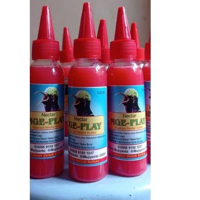 

Dapatkan Segera Nectar Ngeplay Nektar Pakan Burung HR6!