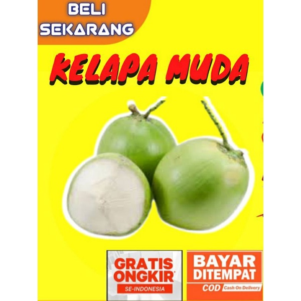 KELAPA MUDA SEGAR / KELAPA JELY SEGAR