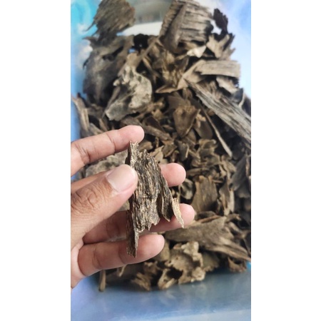 (TERBAIK TERMURAH) Kayu Gaharu Super Aquilaria Malaccensis Kwalitas Arab Asli Kkalimantan Buhur Buhk