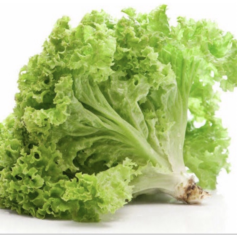 

Salada Keriting 1kg