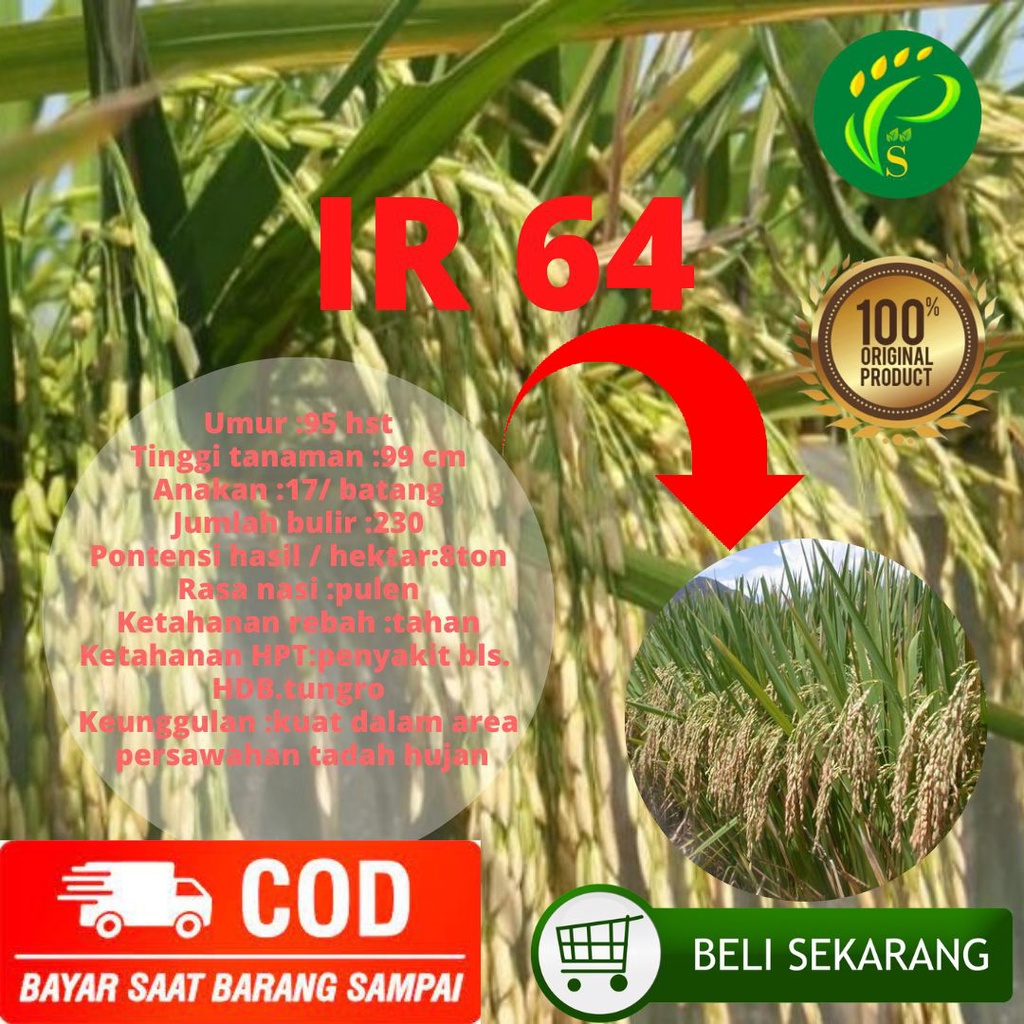 Benih Padi Unggul Varietas IR 64 5kg