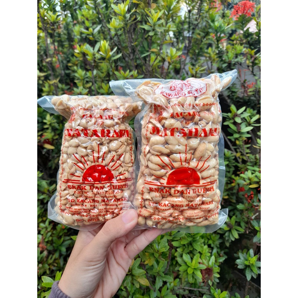 

Kacang Bali Matahari ASLI 250gr