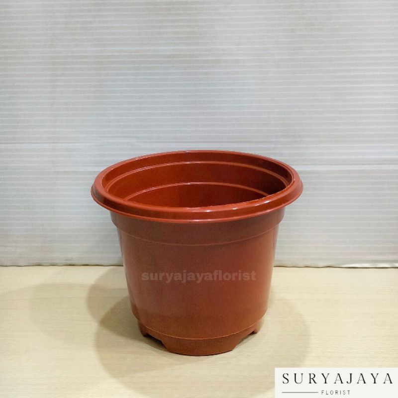 Pot Bunga Bibit 10cm Lucky Star / Pot Bunga Plastik / Pot Plastik / Vas Bunga / Vas Plastik