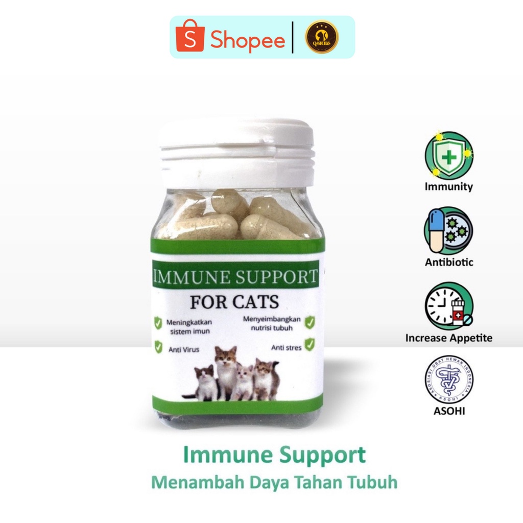 Immune Support For Cats Vitamin Kucing Anti Sakit Vitamin Imunitas Kucing