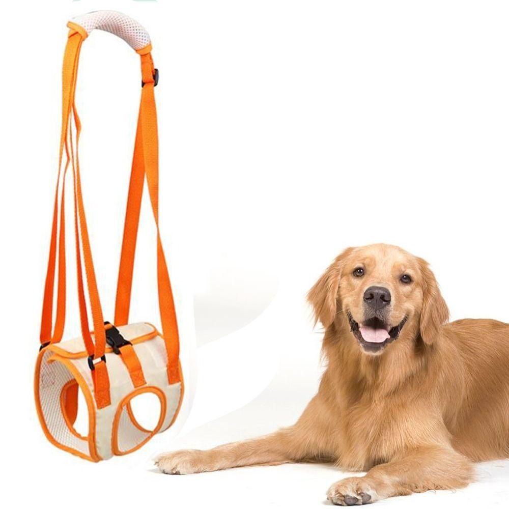 REBUY Rebuy Dog Support Harness With Handle Adjustable Untuk Cedera Sendi Lama Anjing Punggung Kaki Dukungan Pinggul Anjing Angkat Harness Berjalan Berdiri Pet Recovery Vest