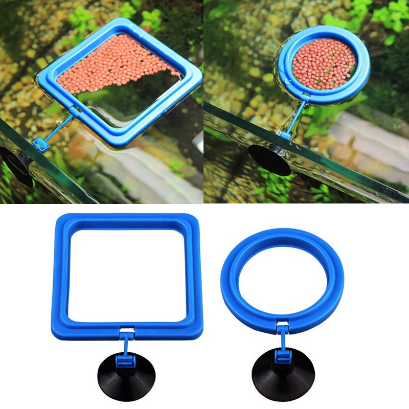 Ring Feeder Kotak Bulat Wadah Pakan Aquarium Tempat Makanan Ikan Floating Feeding Plastic Circle Square