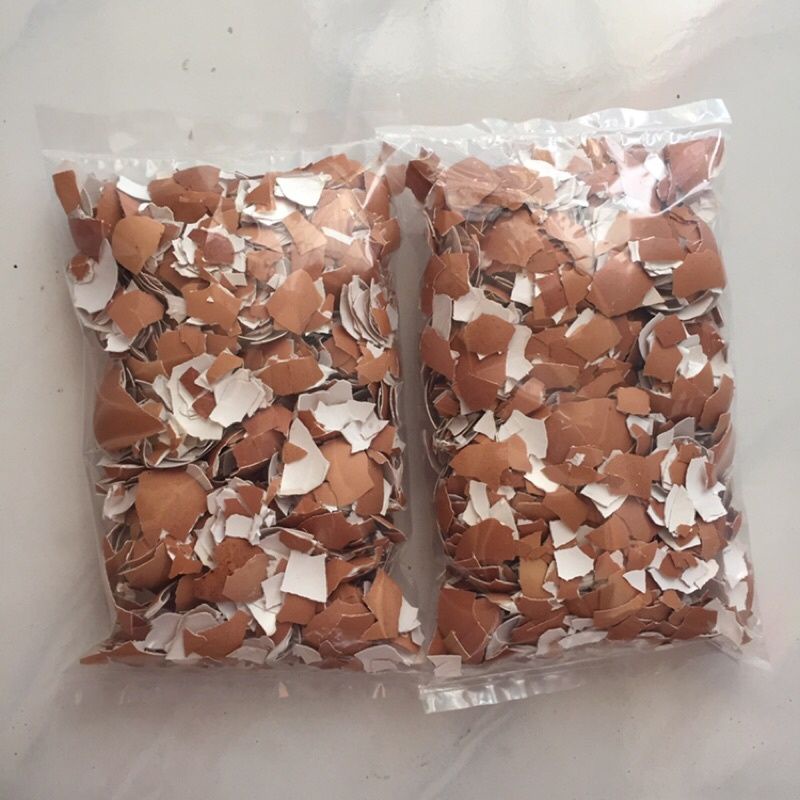 

cangkang telur / cangkang telor