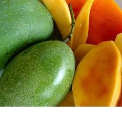 

❂ Mangga Mana Lagi Manalagi Manis Fresh 1 Kg ☻