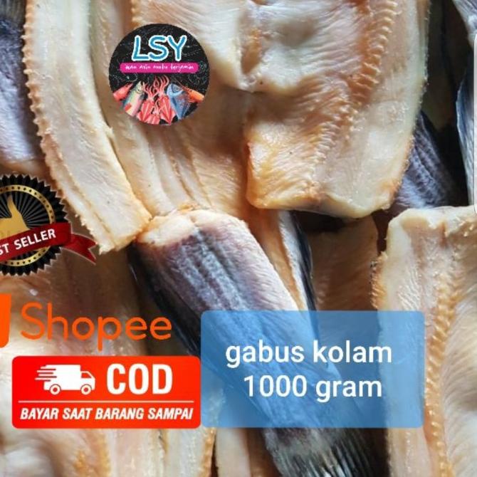 

✾ ikan asin gabus kolam size besar 1kg ➹