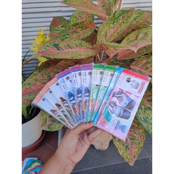 

10 pack (100 pcs) amplop JUMBO motif UANG viral