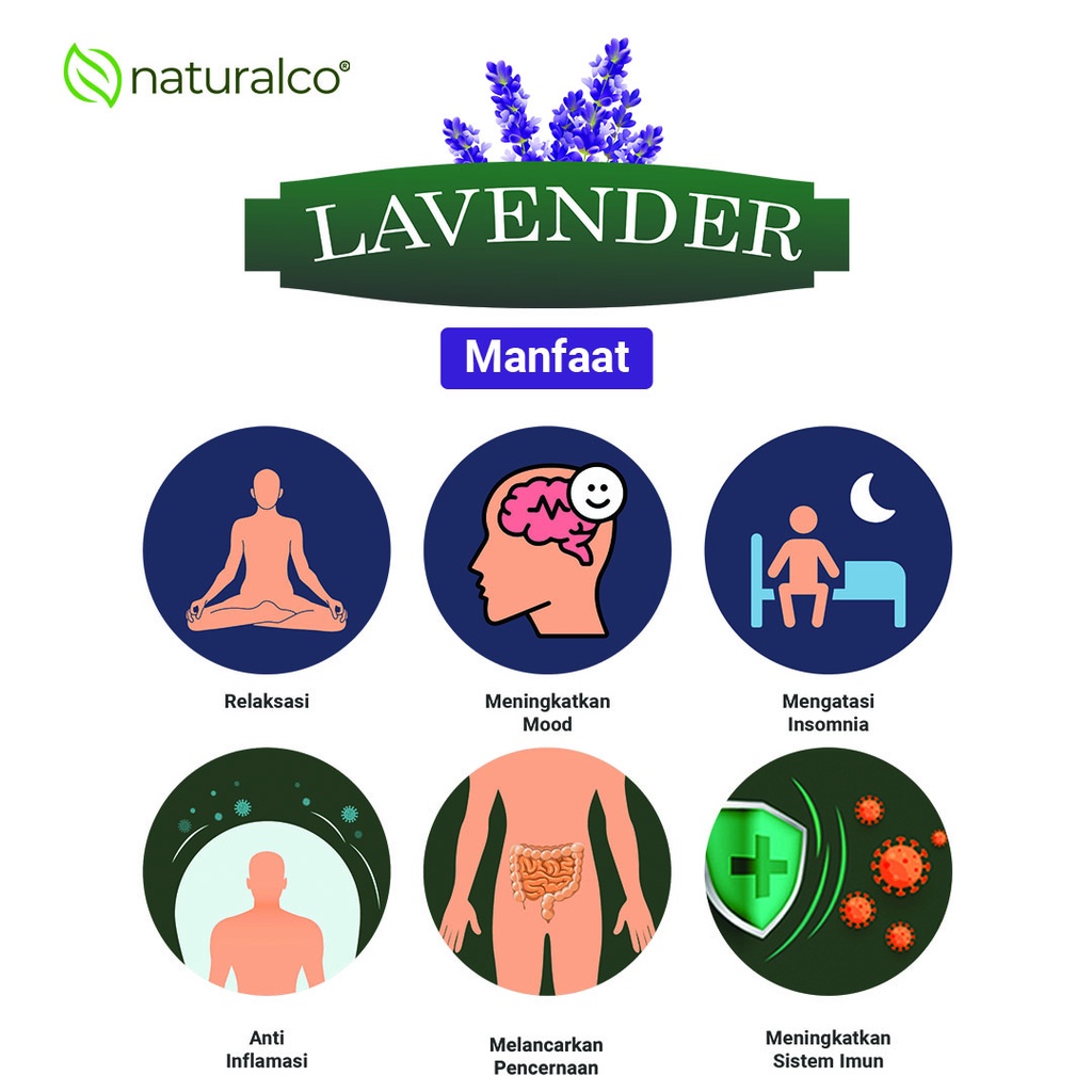 

XMASTER NATURALCO MAX SLEEP 1 BULAN UNTUK INSOMNIA {NATURALCO TEA SERIES} 60 TEA BAGS GARANSI 100%