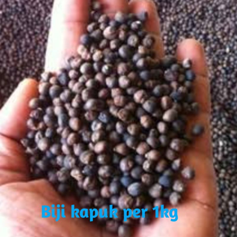 BIJI KAPUK RANDU/KLENTENG 1KG PERKEMASAN