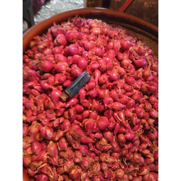 

bawang Jawa berebes 1kg