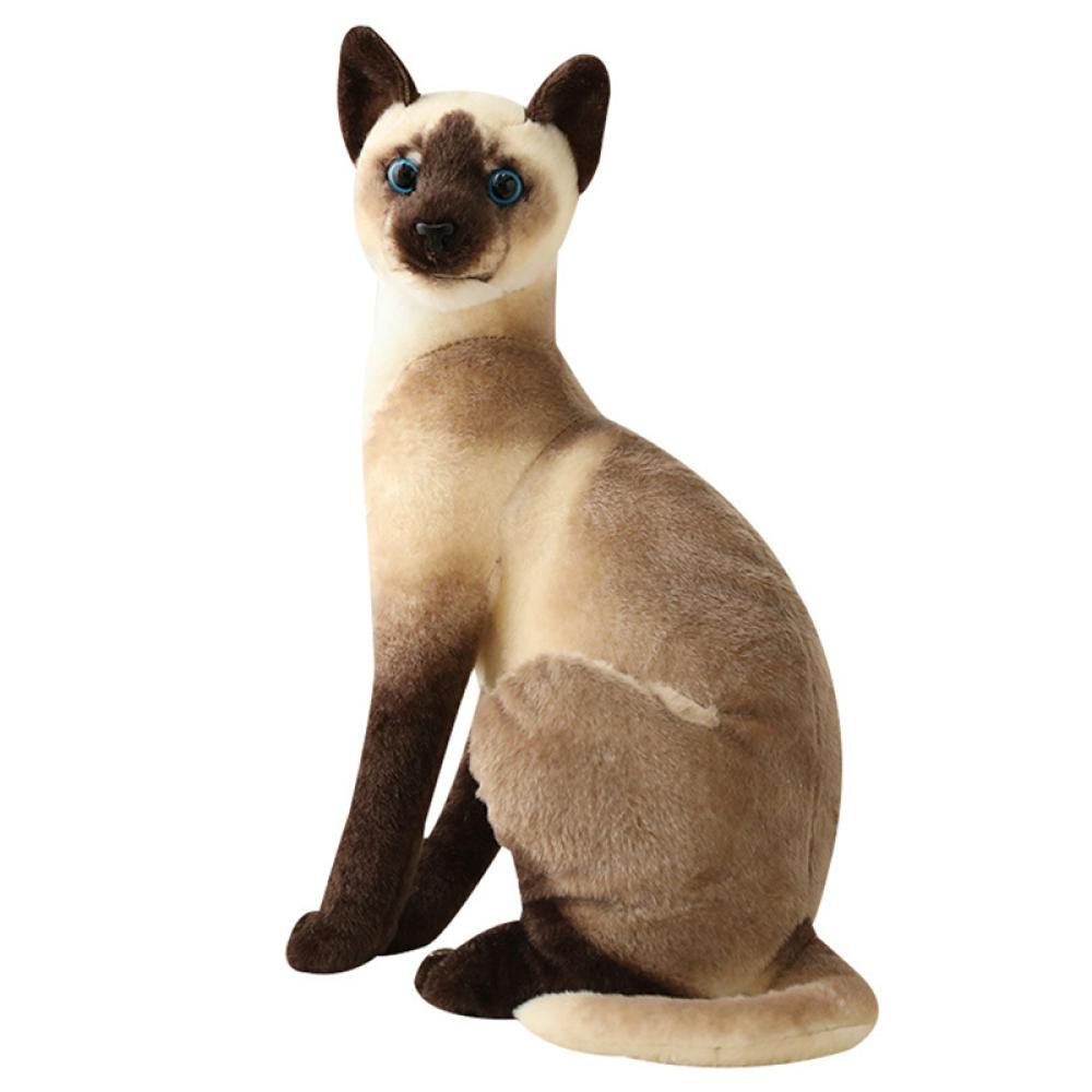 Timekey Manusia Hidup Kucing Siam Mainan Mewah Simulasi American Shorthair Cat Boneka Boneka Mainan Hewan Peliharaan Dekorasi Rumah Untuk Ulang Tahun Anak P5Z5