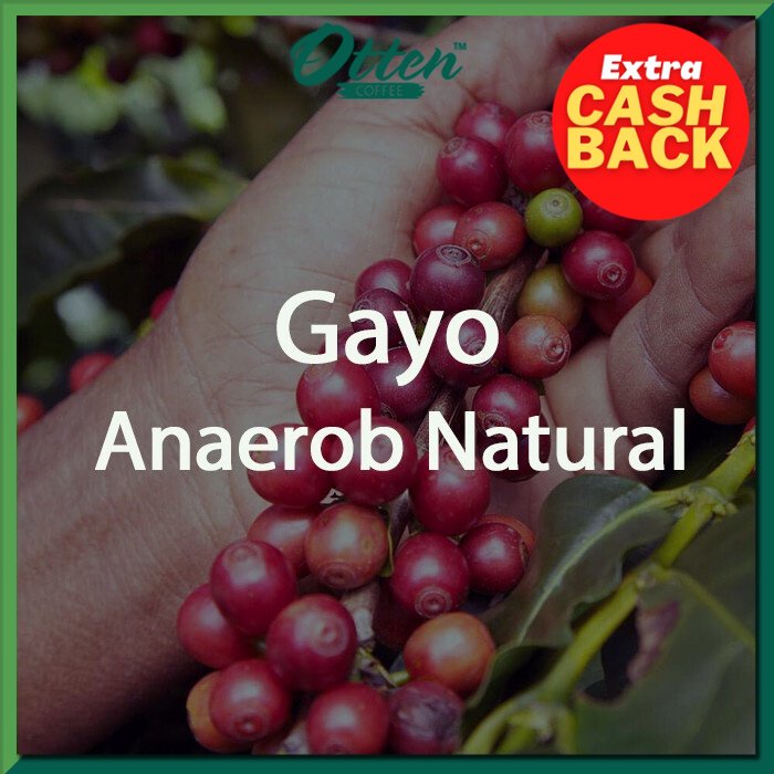 

Green Bean Kopi Arabica Aceh Gayo Anaerob Natural - 1 Kg - Biji Kopi Mentah Siap Roasting - Otten Coffee
