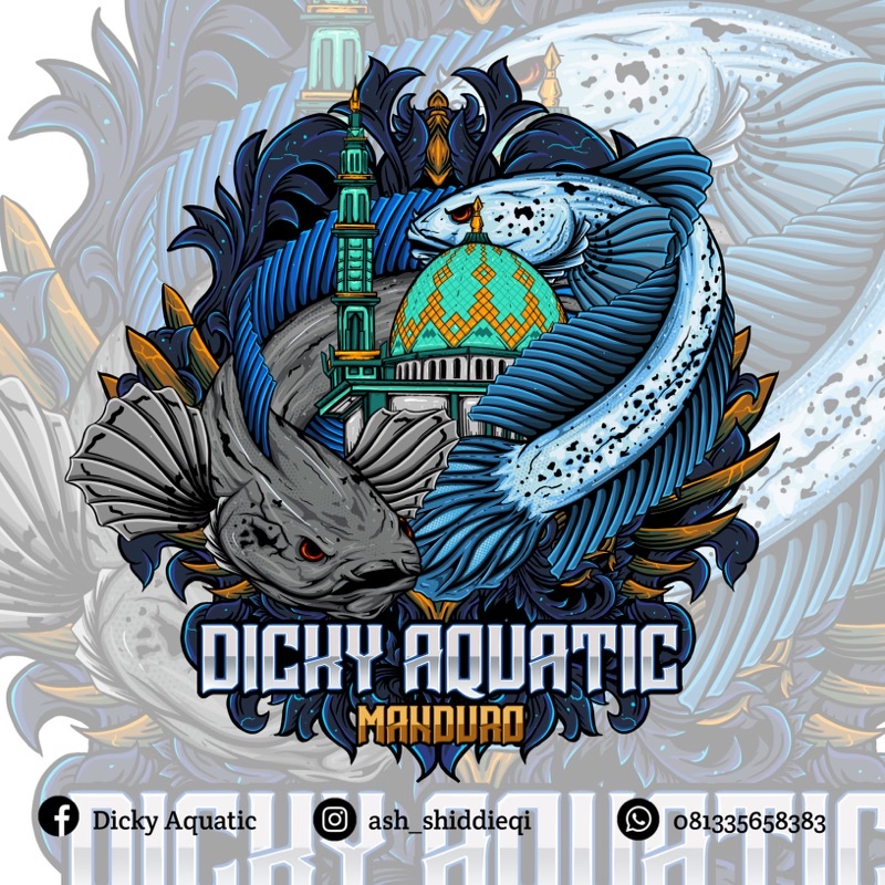 Hiasan Aquarium Channa Red Barito Asli 10-11cm