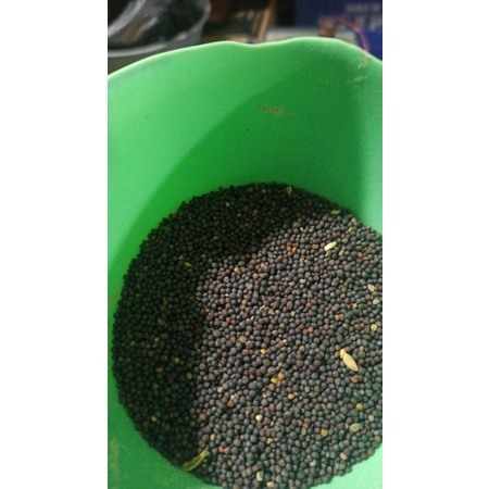 PAKAN BURUNG BIJI SAWI 1KG PAKAN KILOAN