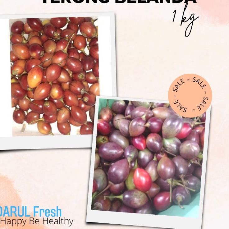 

MEN SALE Terong kori / terong belanda 1kg fresh