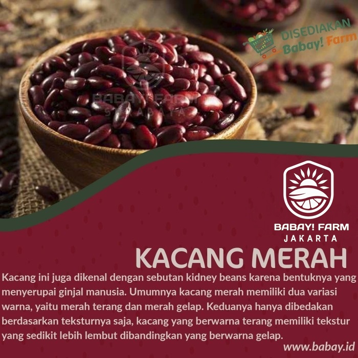 

Kacang Merah 250 500 gr / 1 kg