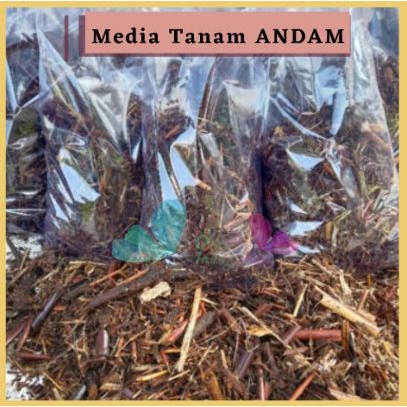 ANDAM Media Tanam Organik dari Pakis Bambu Fermentasi Tanaman Pakis Halus Kemasan 1Liter Untuk Tanaman Hias Anggrek Aglonema Calathea Caladium Anthurium