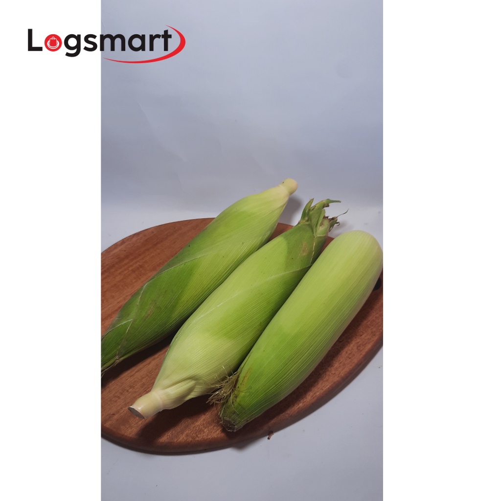 

JAGUNG MANIS JAGUNG SAYUR