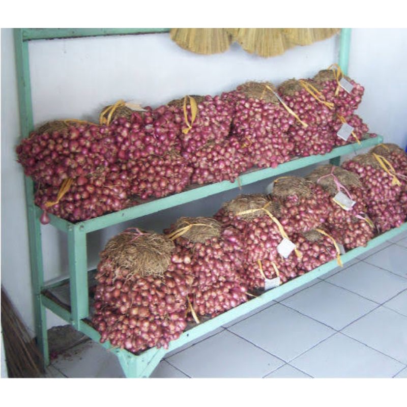 

Bawang merah oleh oleh khas Brebes harga murah dan terjangkau