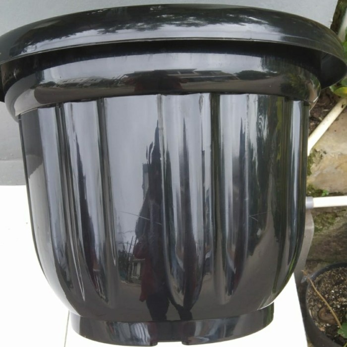 Poo Pot Besar Kuping Ukuran 50 Pot Besar Ukuran 50 Bagus Tebal Kuat