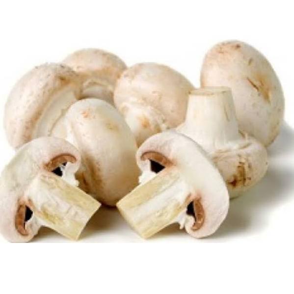 

U91 Jamur Kancing Putih / Champignon Fresh 250 gram TOP PRODUCT ⇯