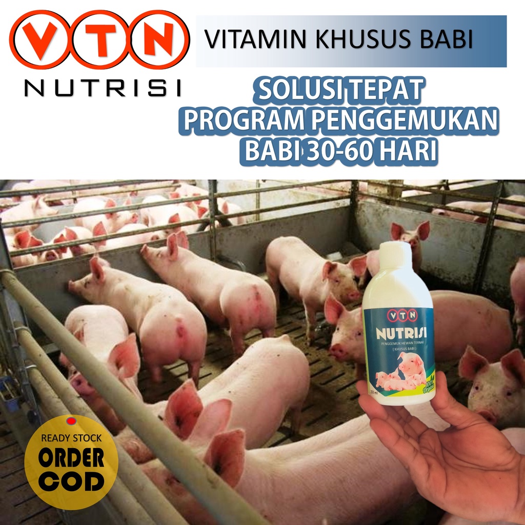 Vitamin Babi Semua Umur Vitamin Babi Cepat Besar Campuran Pur Babi dan Untuk Obat Cacing Babi