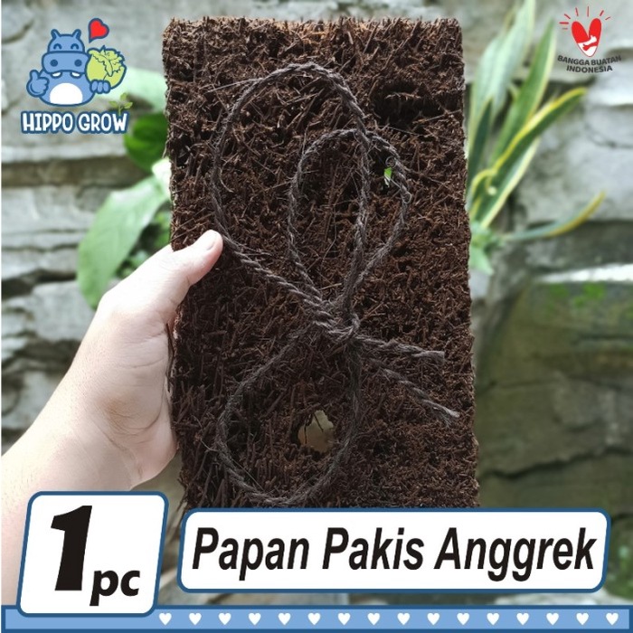 Terlaris Papan Pakis Lempeng Besar Plus Tali Untuk Media Tumbuh Anggrek
