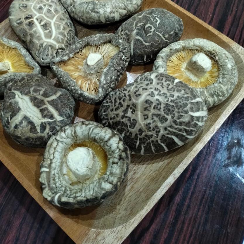 

☝ r Shitake / Hioko / Hyoko Kering Besar / Kecil 250 Gram ♠