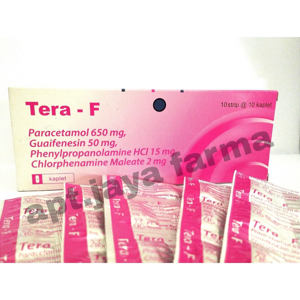 TERA-F OBAT BATUK PILEK TABLET (HARGA/STRIP =10 TABLET)