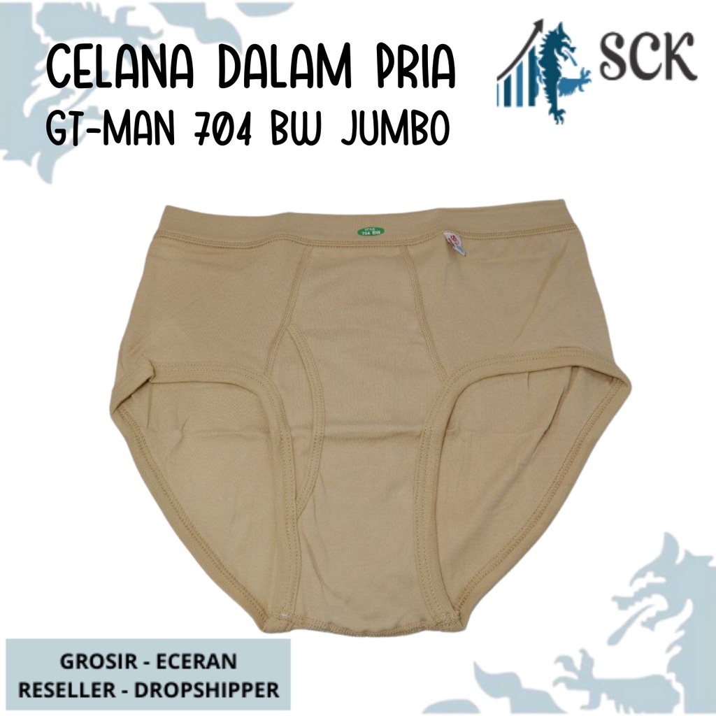 Celana Dalam Pria GT-MAN 704 WARNA JUMBO / CD Anti Selip GT MAN Murah / Pakaian Dalam Cowok - sckmenwear GROSIR