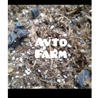 media tanam tanaman alocasia caladium 5kg