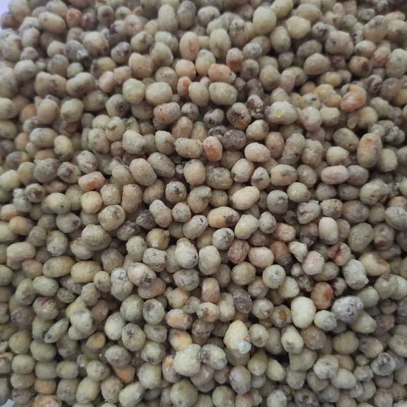 

Kacang Hijau Goreng
