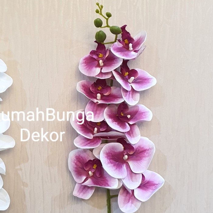BISA  COD Anggrek Latex Artificial Premium Murah - PUTIH UNGU