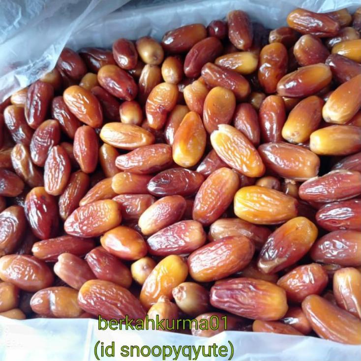 

○ Kurma tunisia 1kg tanpa tangkai fresh kualitas super ✦