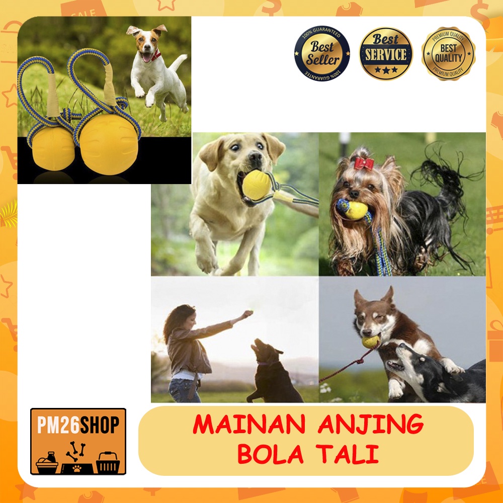 MAINAN ANJING DOG TOY BOLA TALI