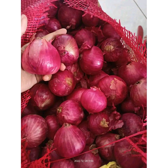 

BAWANG MERAH PEKING SEGAR ALAMI - 1KG
