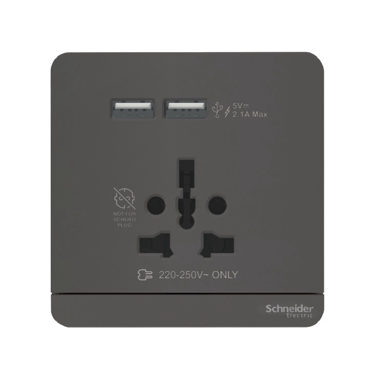 Schneider Electric Avatar On Int Socket 16A USB 2.1A - E8342616USB DG