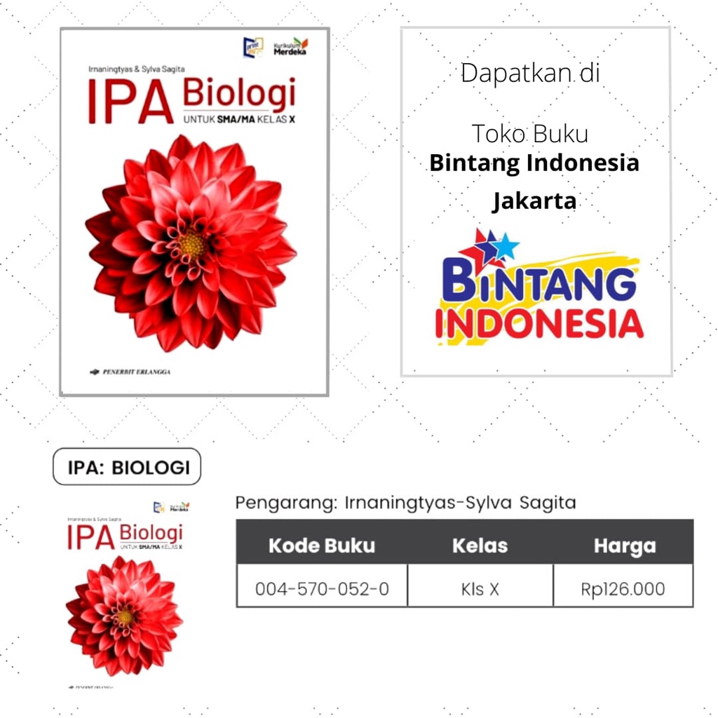 Buku Pelajaran Kelas 1/X SMA Kurikulum Merdeka Erlangga