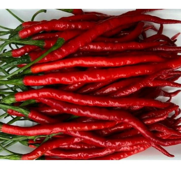 

♂ Cabe merah keriting 1 kg ➧
