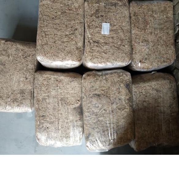 ♟ Sphagnum Chille Moss 200 Gram ۩