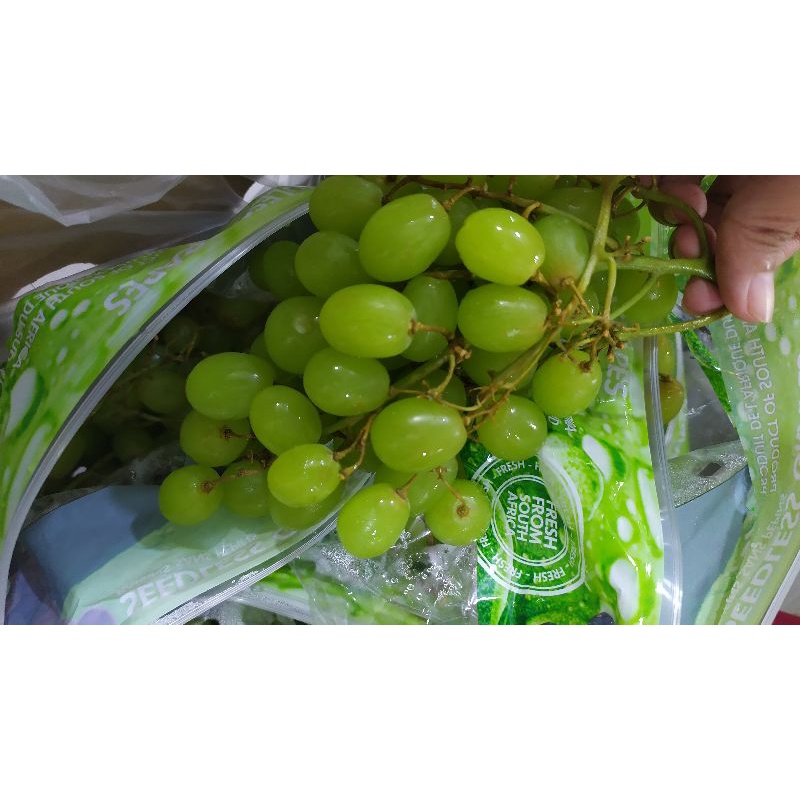 

anggur hijau | buah anggur hijau manis | anggur hijau import
