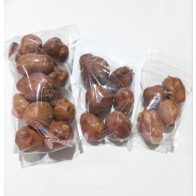 

Buah Zuriat Original / Zuriat Kembar / Zuriat Promil