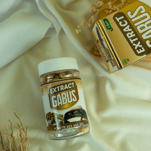 Kapsul Ekstrak Sari Ikan Kutuk Gabus Albumin Untuk Obat Penyembuh Pengering Luka Bakar Diabetes Jahitan Sunat Pasca Melahirkan Operasi Cesar Caesar