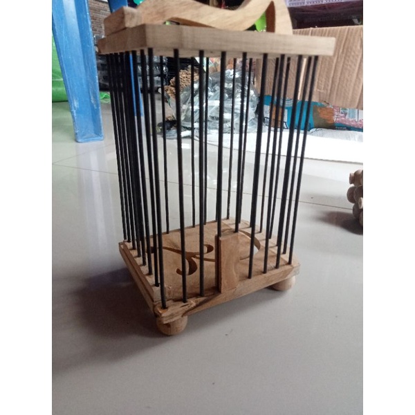 Kandang untulan pleci