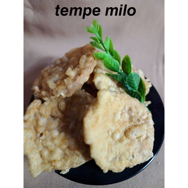 

ANEKA SNACK TEMPE MILO