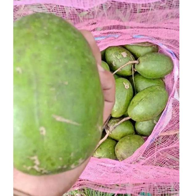 

T98 buah kedondong Bangkok 1 kg RECOMENDED わ